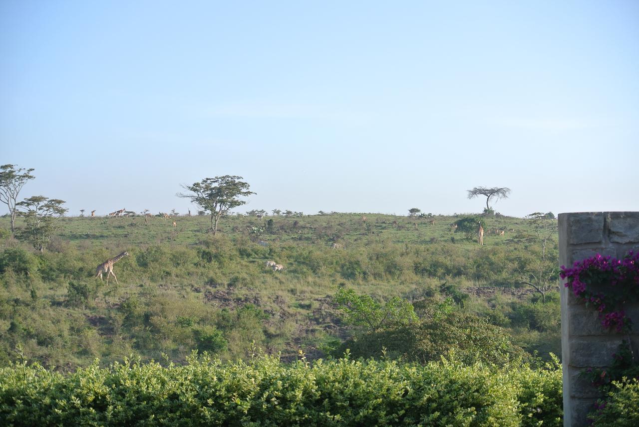 Nyati Hill Cottages Nairobi Exterior foto